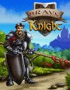Brave knight