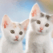 Couple de chatons blanc aux yeux verts