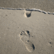 Pas dans le sable et la mer