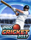 Pro cricket