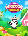 Racoon rescue