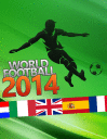 World football 2014